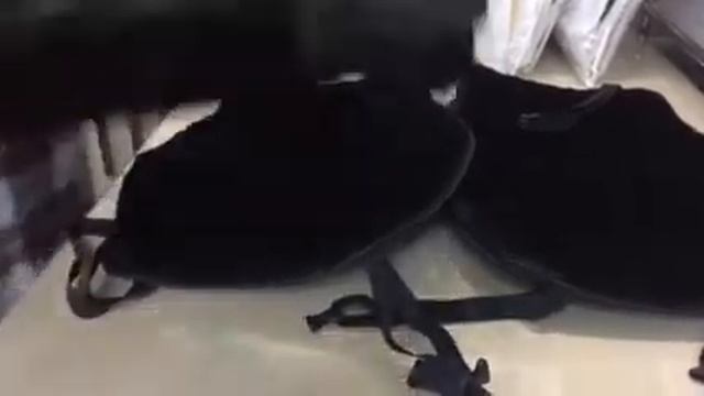 Меховые накидки на задние сиденья от Карбон Всем смотреть онлайн