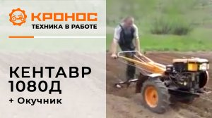 Нарезание рядков окучниками и мотоблоком Кентавр 1080Д (Toyokawa)