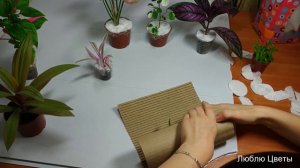 Как я упаковываю растения для отправки по почте