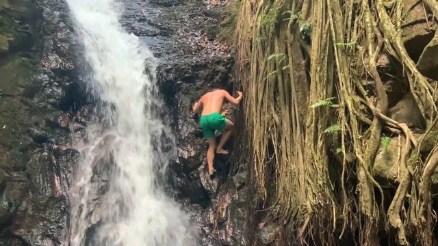 Monteverde Waterfall And Ficus Tree Bridge смотреть онлайн