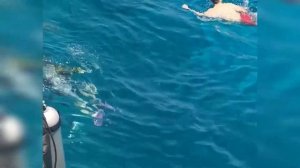 Египет, Хургада. Экскурсия "6й элемент"