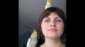 ВНИМАНИЕ! Опасно для попугая. Часть 2: в комнате