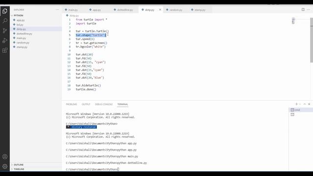 How to create Turtle Dot in Python | Python Turtle Dot using dot() function