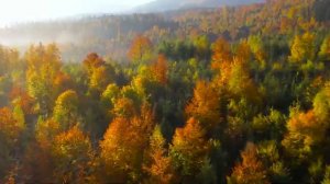 Лечебная музыка для сердца и сосудов, релакс, музыка для души