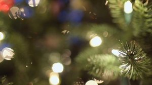 Для праздничного настроения, АСМР.?☃️@https://www.videvo.net/profile/Beachfront