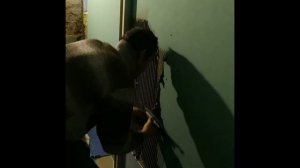 Ложим плитку на стены в туалете.