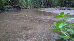 Ты, мама, нам больше не нужна. Сказала Маша и отвернулась. А спустя годы…