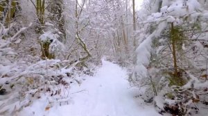 Ансамбль цыганской песни "Старая Москва" - Вьюга