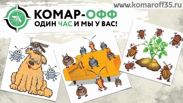От тараканов и клопов от клещей кротов и блох! Вам поможет Комар-ОФФ. смотреть онлайн