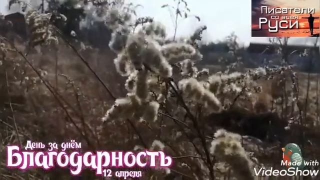 БЛАГОДАРНОСТЬ сердечная благодарность Богу за все Весение ручьи смотреть онлайн