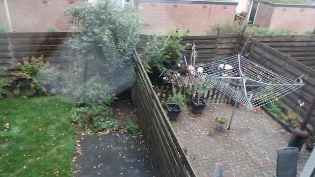 Наш переезд в Нидерландах из квартиры в дом! смотреть онлайн