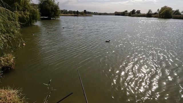 Почему важно забрасывать с клипсой и не сдвигать кормушку с места. 4 вида поведения основной лески. смотреть онлайн