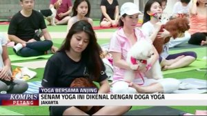 "Doga Yoga" Yoga Dengan Anjing Kesayangan