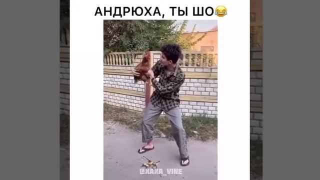 Петух несет яйца? смотреть онлайн