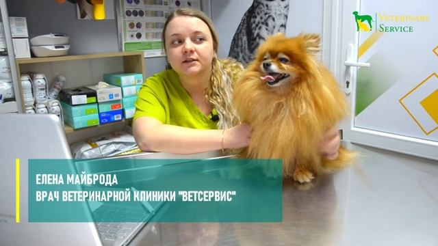 Заболевание ушей у питомцев смотреть онлайн