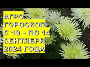 Агрогороскоп с 10 по 14 сентября 2024 года Agrohoroscope from September 10 to September 14, 2024