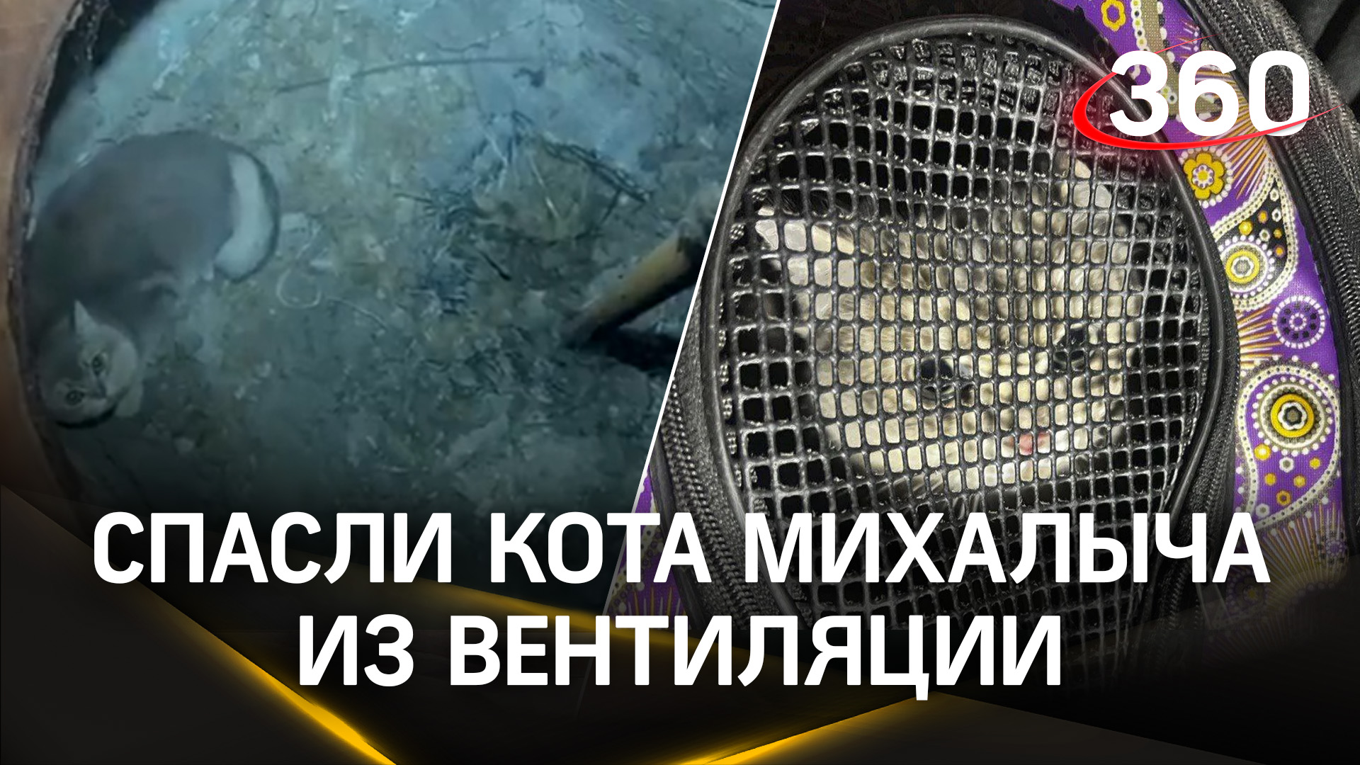 Спецоперация по спасению Михалыча: кота с необычной кличкой извлекли из вентиляции