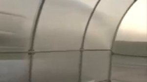 Виды дачных теплиц