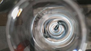 ?Scitec Nutrition Amino 5600 хим анализ сколько белка.