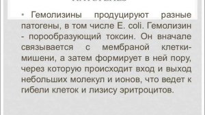 Эшерихиозы