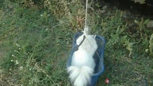 to the second floor pls (Мне на второй пожалуйста) смотреть онлайн