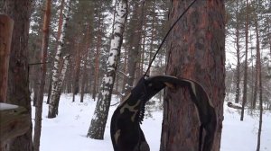 Лыжная прогулка 17.02.2023 г. Тестируем Р-168-0,1УМ1. Часть 1