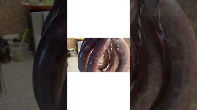 Домашняя украинская полукопчёная колбаса. Готовим в GoldenSmoker. смотреть онлайн