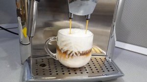 gaggia platinum vogue