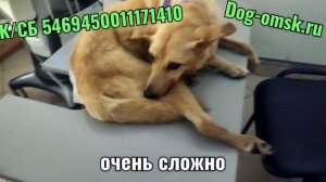 Поездка в клинику.