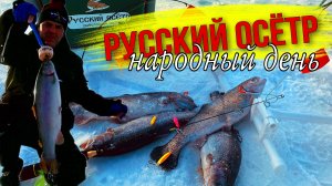 МИНИ СЕМЕЧКА ЛОВИТ ФОРЕЛЬ Рыбалка на форель в народный день