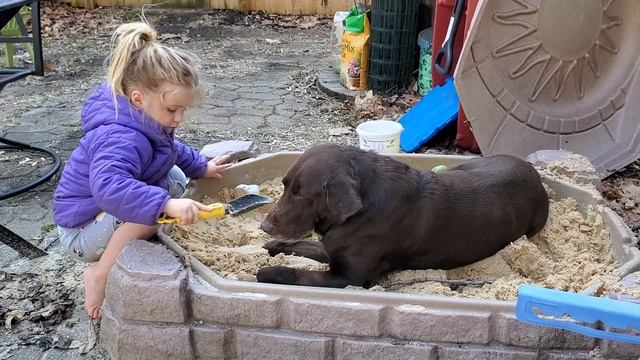 Sand box buddies смотреть онлайн