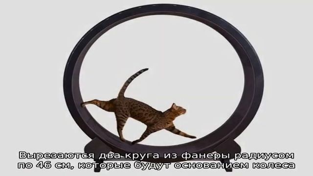 Беговое колесо для кошек своими руками