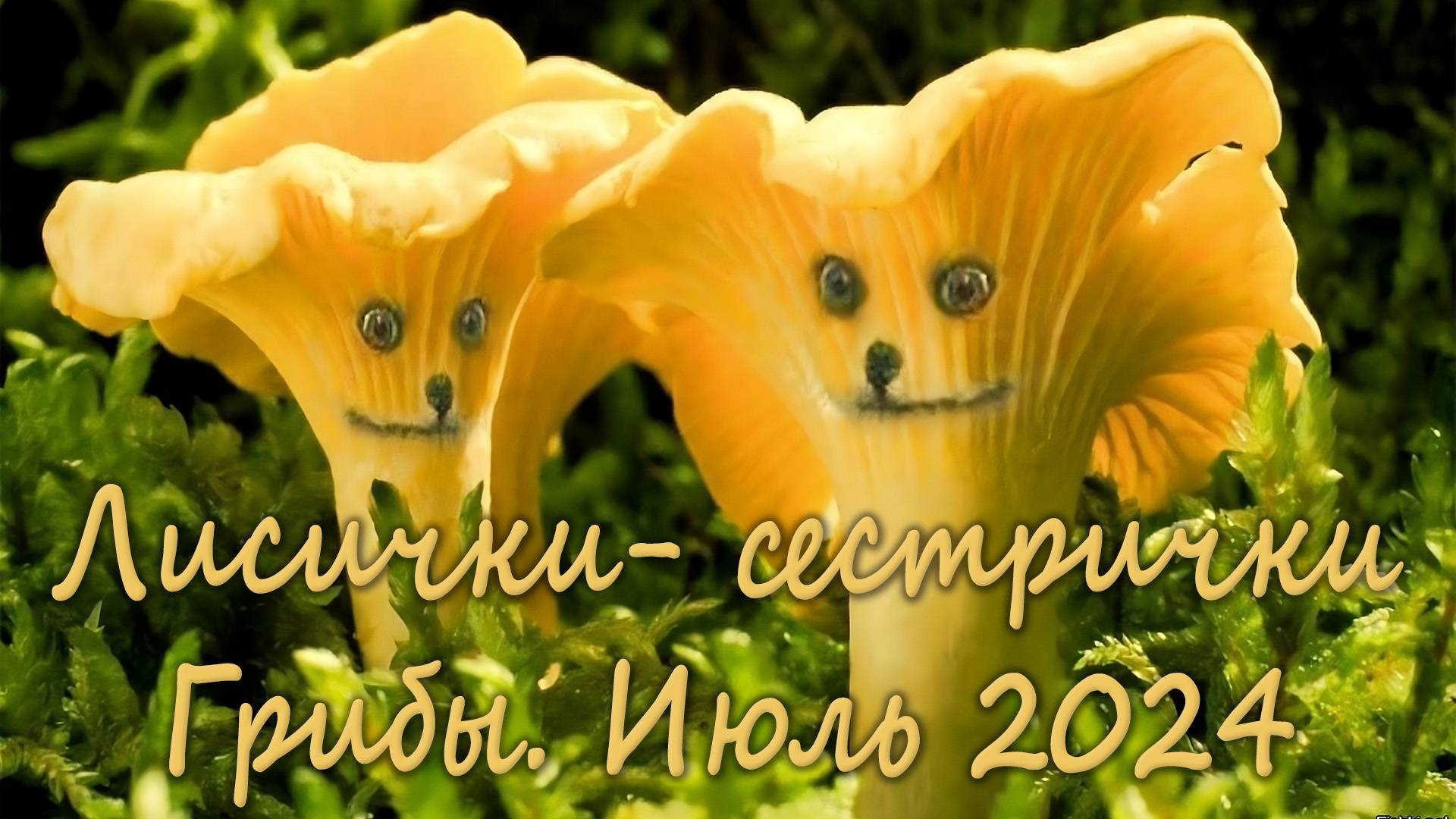 26 июля. Лисички и кратко о ТСЖ смотреть онлайн