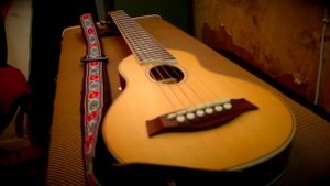 Обзор гитары Xen Travel Guitar Aosen TR-10