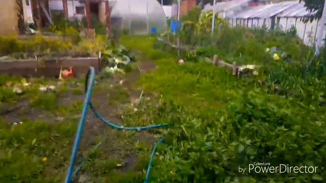 Влог. Суббота банный день, делаю ленивые голубцы. смотреть онлайн