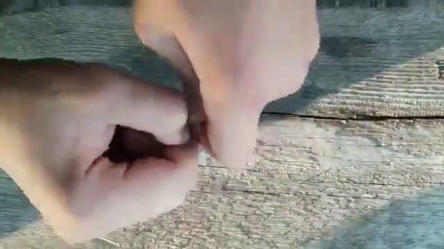 Как сделать закидушку на сома? смотреть онлайн