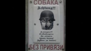 Прикольные таблички осторожно собака на ваши дачные заборы. Оригинально, смешно, весело
