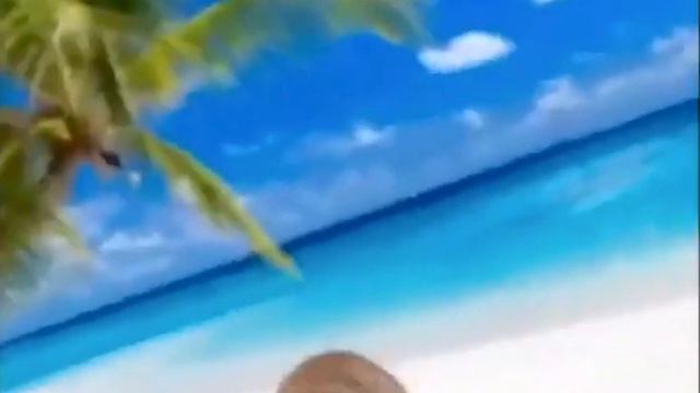 Shboom pug смотреть онлайн