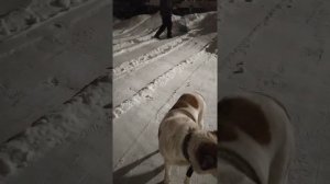 Эффективный скребок для уборки снега