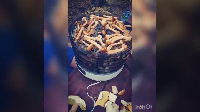 обзор KIP deluxe 42T 1987г прицеп -дом , Кемпер) 2 часть смотреть онлайн