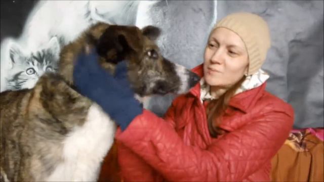 СЭР ВАШИНГТОН! НАДО БРАТЬ! смотреть онлайн