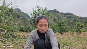 17 Year Old Single Mother - Sugarcane Harvest & Mountain Farm Journey