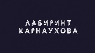 Лабиринт Карнаухова | Соловьёв LIVE | 30 июня 2022 года