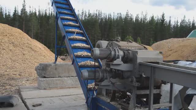 Скребковый транспортер и барабанная рубительная машина РБ-37 в работе