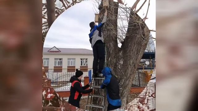 ДЕНЬ ПТИЦ смотреть онлайн