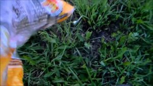 Рыбалка с Михалычем.2 поход за карасем)