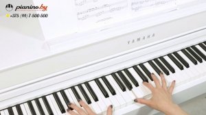 Обзор новинки цифрового пианино Yamaha CLP-645 от Pianino.by