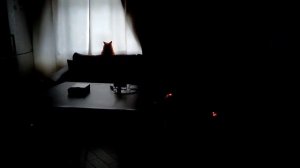 Прожектор "ЭРА" с датчиком движения и освещенности.