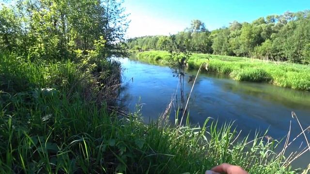 Взял эту снасть и наловил! Разведка удалась. Рыбалка в июне на малой реке 2022. смотреть онлайн