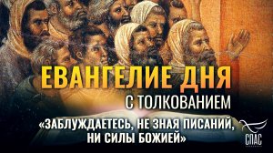 «ЗАБЛУЖДАЕТЕСЬ, НЕ ЗНАЯ ПИСАНИЙ, НИ СИЛЫ БОЖИЕЙ» / ЕВАНГЕЛИЕ ДНЯ